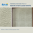 PANNEAU POLY-U ROCHE STAR CLOUD HAN WHITE 1200x600x10 NINE
